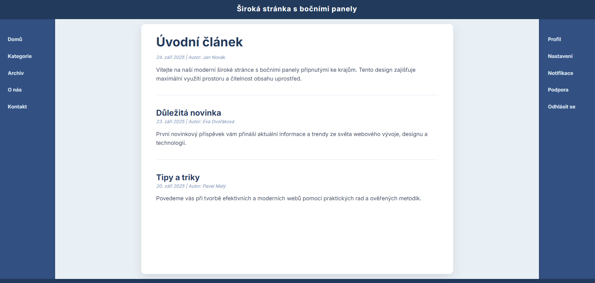 Šablona číslo 7 náhled